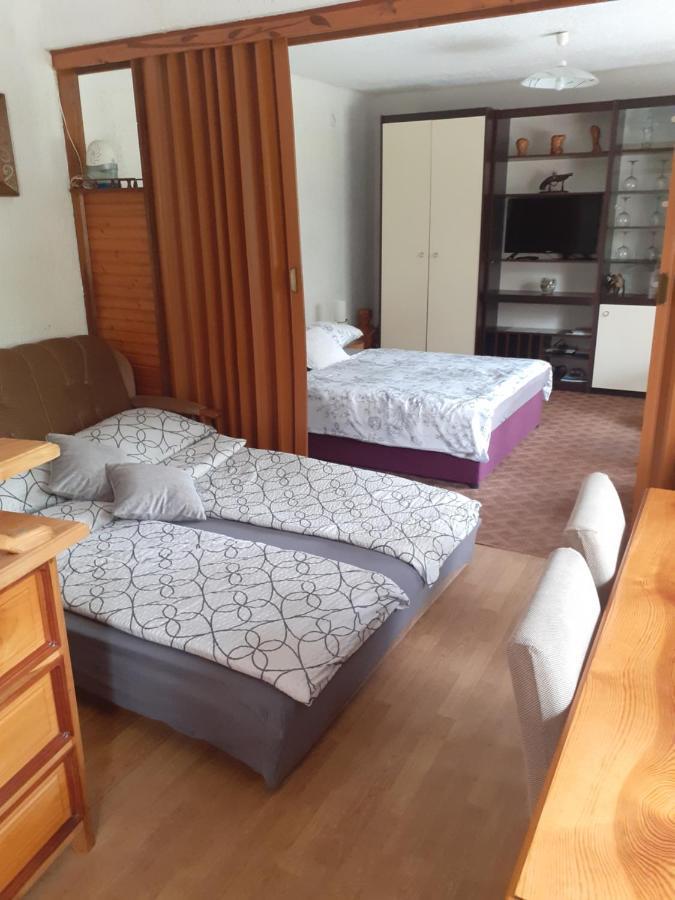 Sokol Apartment Огулин Екстериор снимка